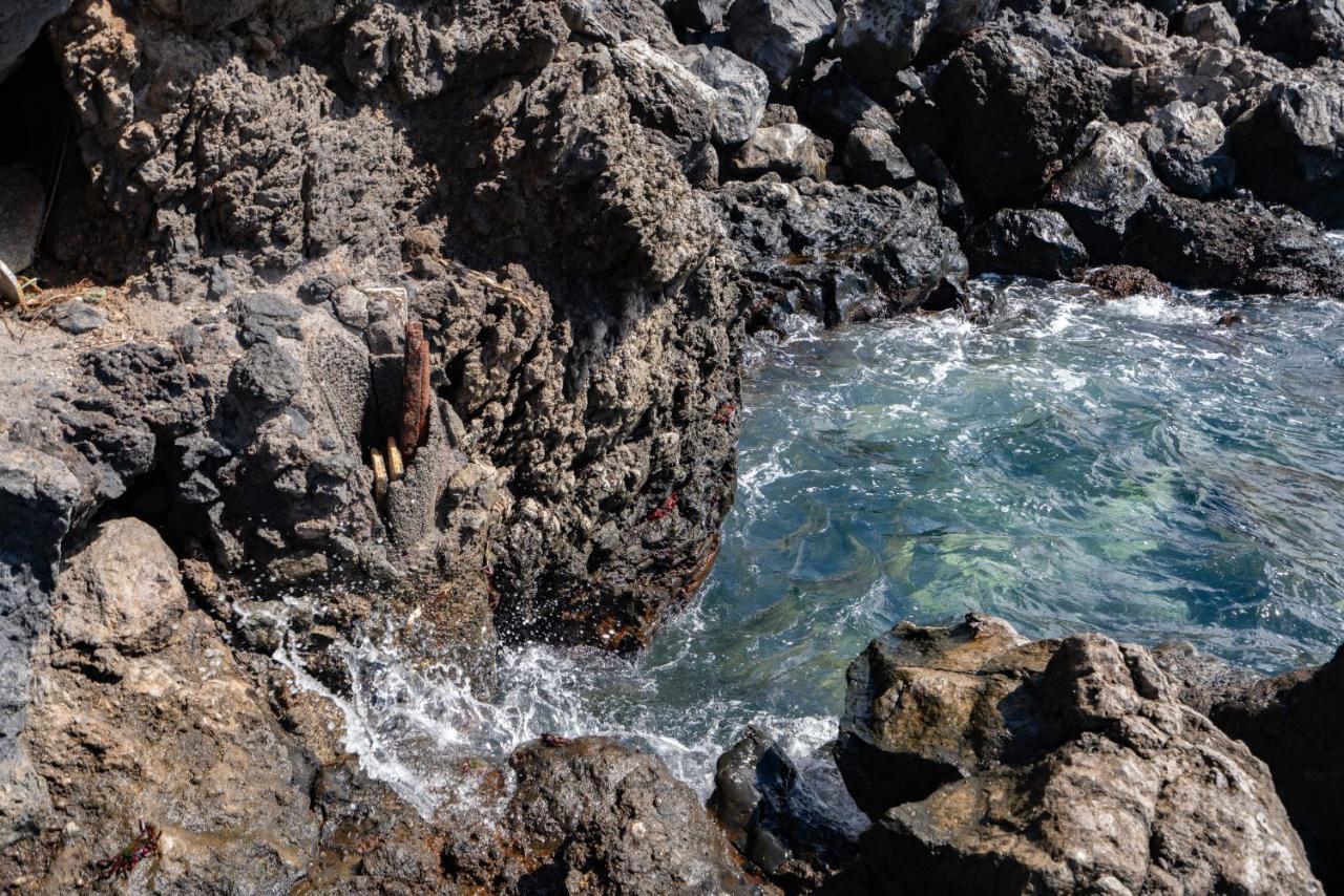 Breath-taking Views On The First Line Of The Ocean Santa Cruz de Tenerife