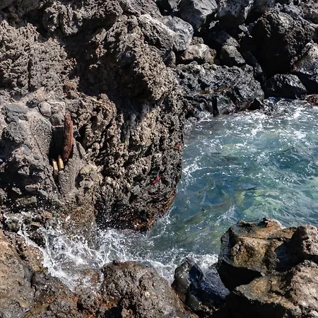 Breath-Taking Views On The First Line Of The Ocean Vila Santa Cruz de Tenerife Exterior foto